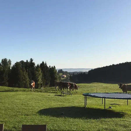 Gmeinder's