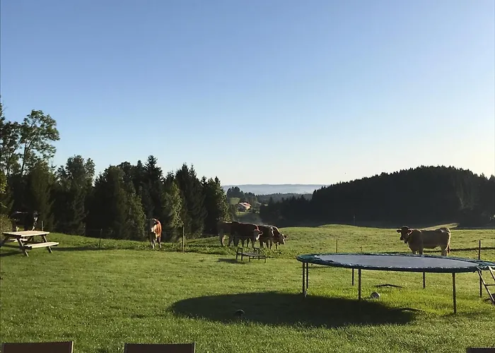 Gmeinder's